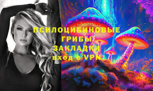ПСИЛОЦИБИНОВЫЕ ГРИБЫ Михайловск