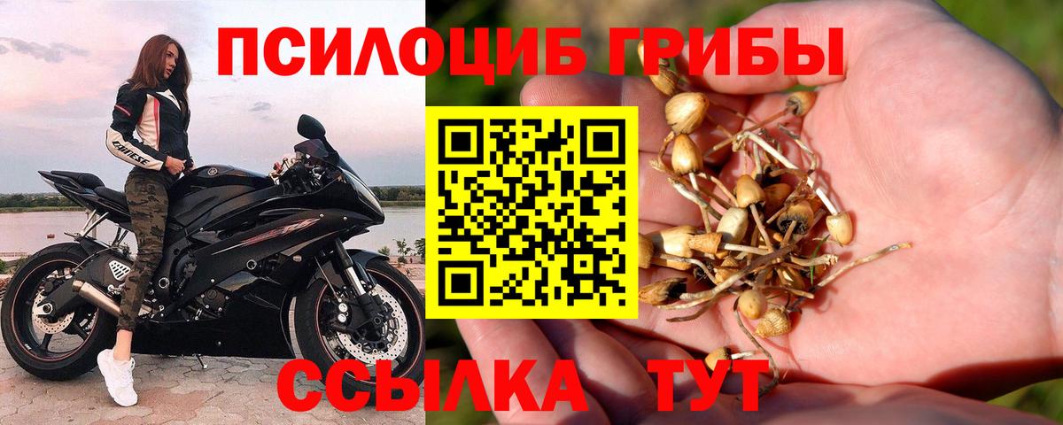 Галлюциногенные грибы Psilocybe  купить  сайты  Армавир  Вход с VPN  Псилоцибиновые грибы Magic Shrooms 