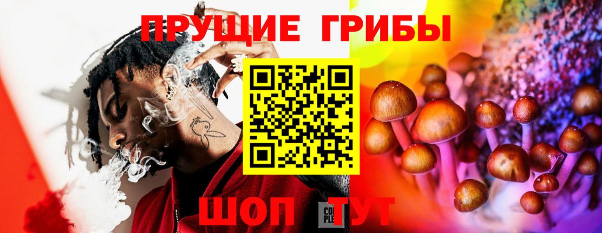 Псилоцибиновые грибы мицелий Армавир
